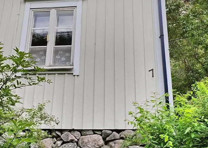 فيلة Vaeaeksyn Mummola *